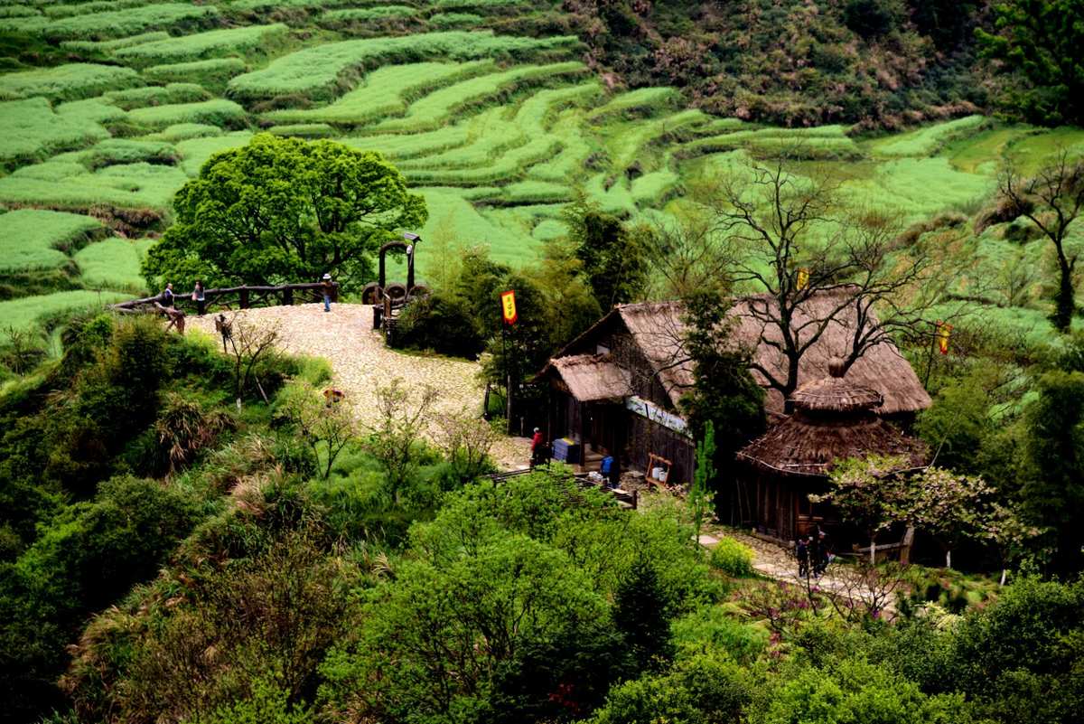 江西九岭山旅游景点之一：古朴自然的原始森林