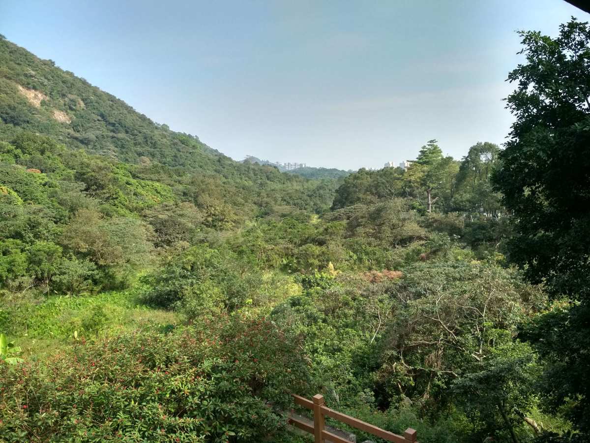 天下名山此独奇，望中风景画中诗蔽日