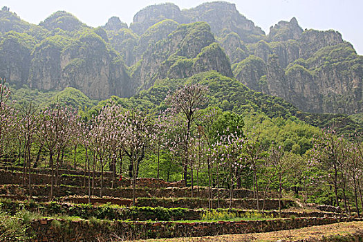 中国国家地理：太行山，把最美的一段给了河南