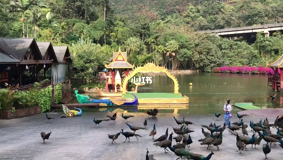 景洪市澜沧江以北民族风情的大型生态旅游景区