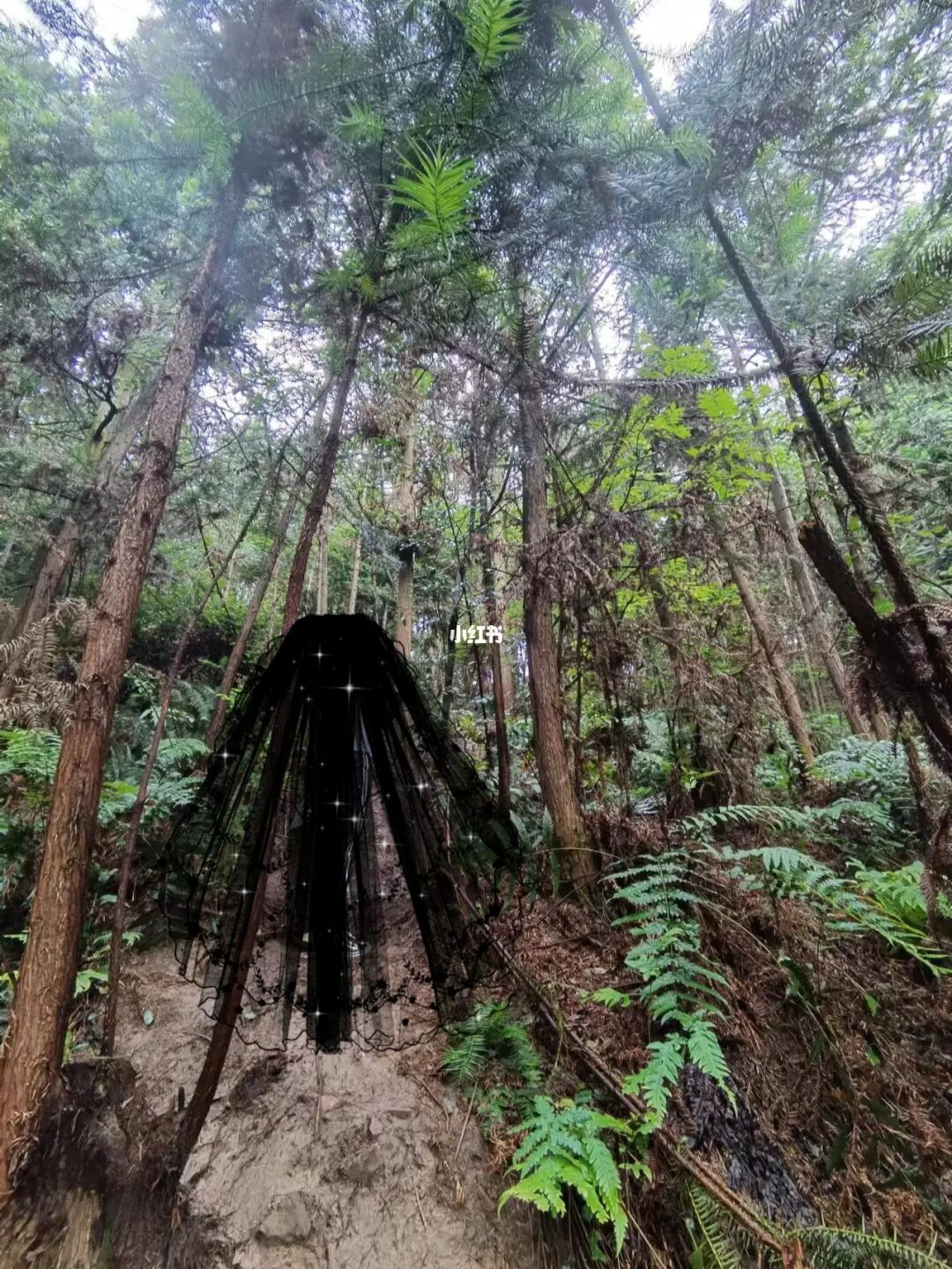 湖北的夏天是真热呀，避暑要去青海贵州这些地方