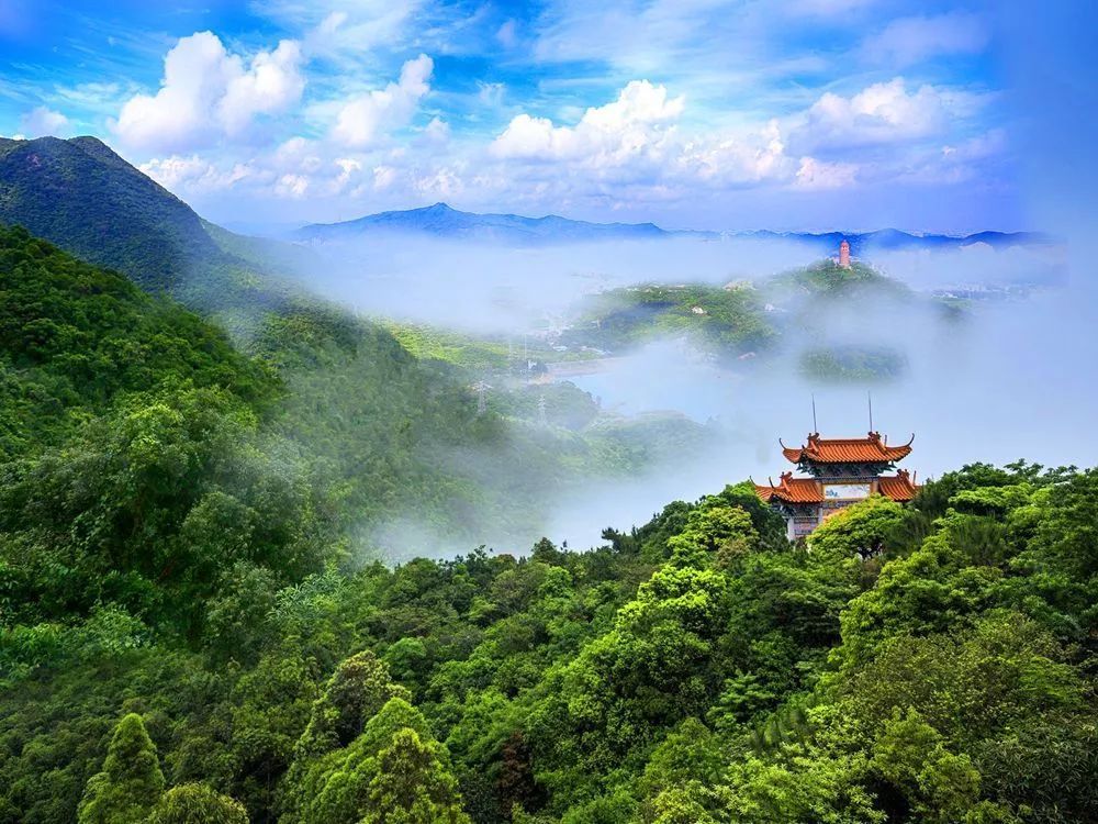 宝山森林公园占地面积20960亩由芙蓉寺和九栋游览区组成