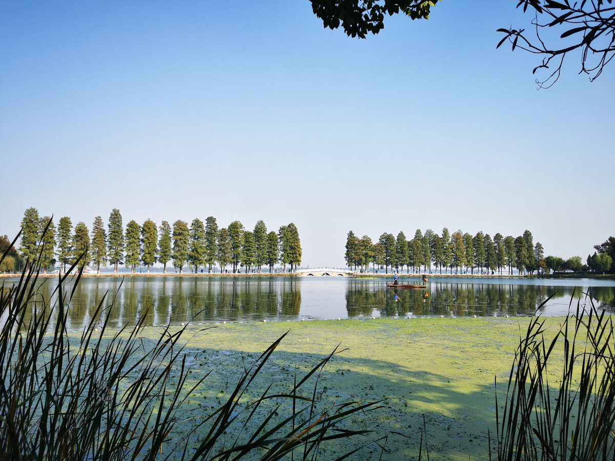 “COP14”主会场特意设在东湖国家湿地公园附近