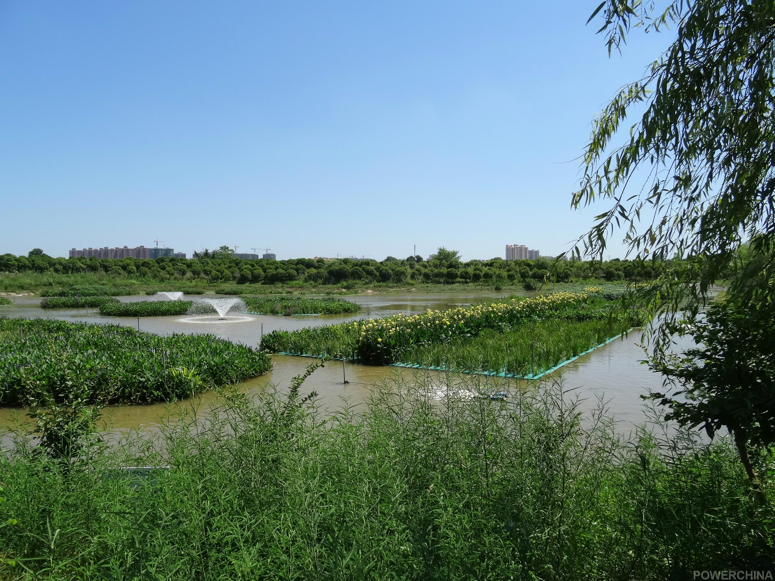 十六潭公园水环境治理试点项目启动一潭死水变清池