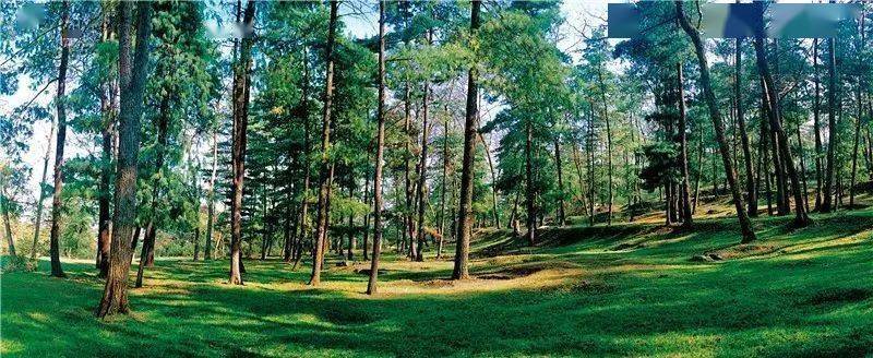 永州市国家森林公园总数达10个，位居全省第一