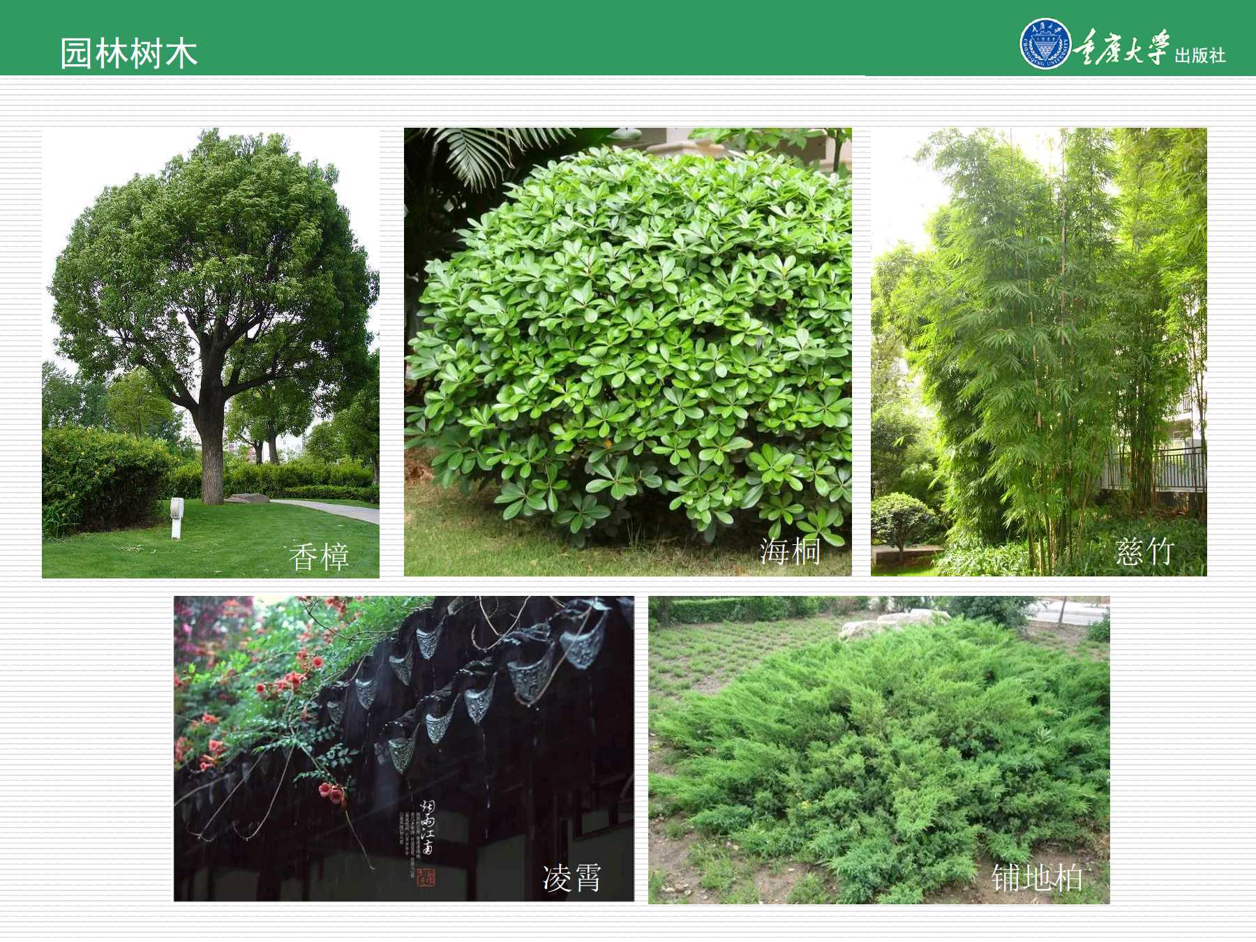 苏州古典园林花木配植的特点及布置方法