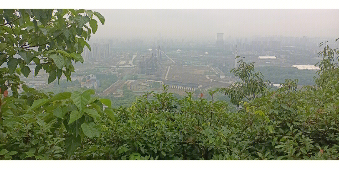 杭州森林公园“下煤雨”基本排除企业违法排污