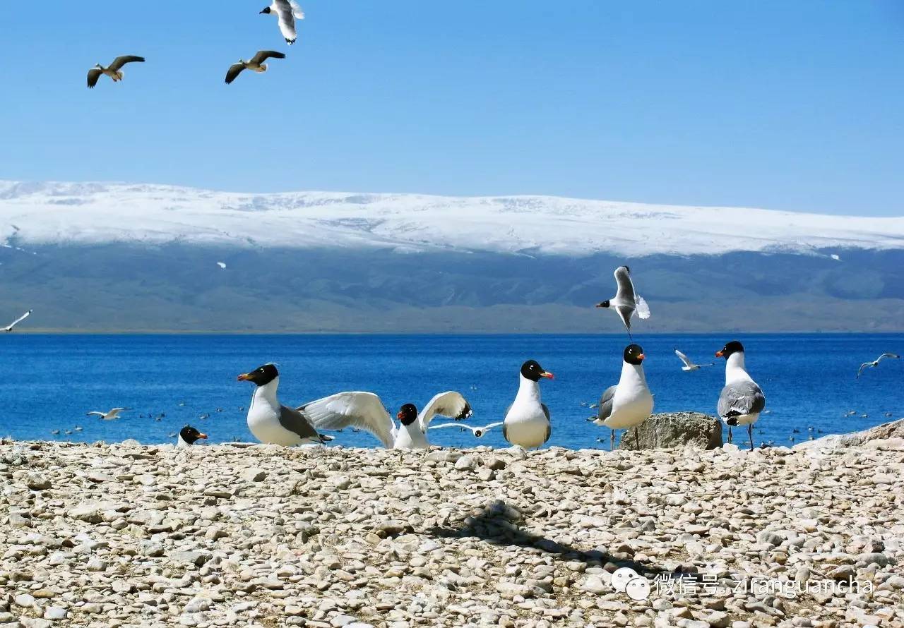 （蒙古记忆）哈拉湖的古老传说——措纳湖