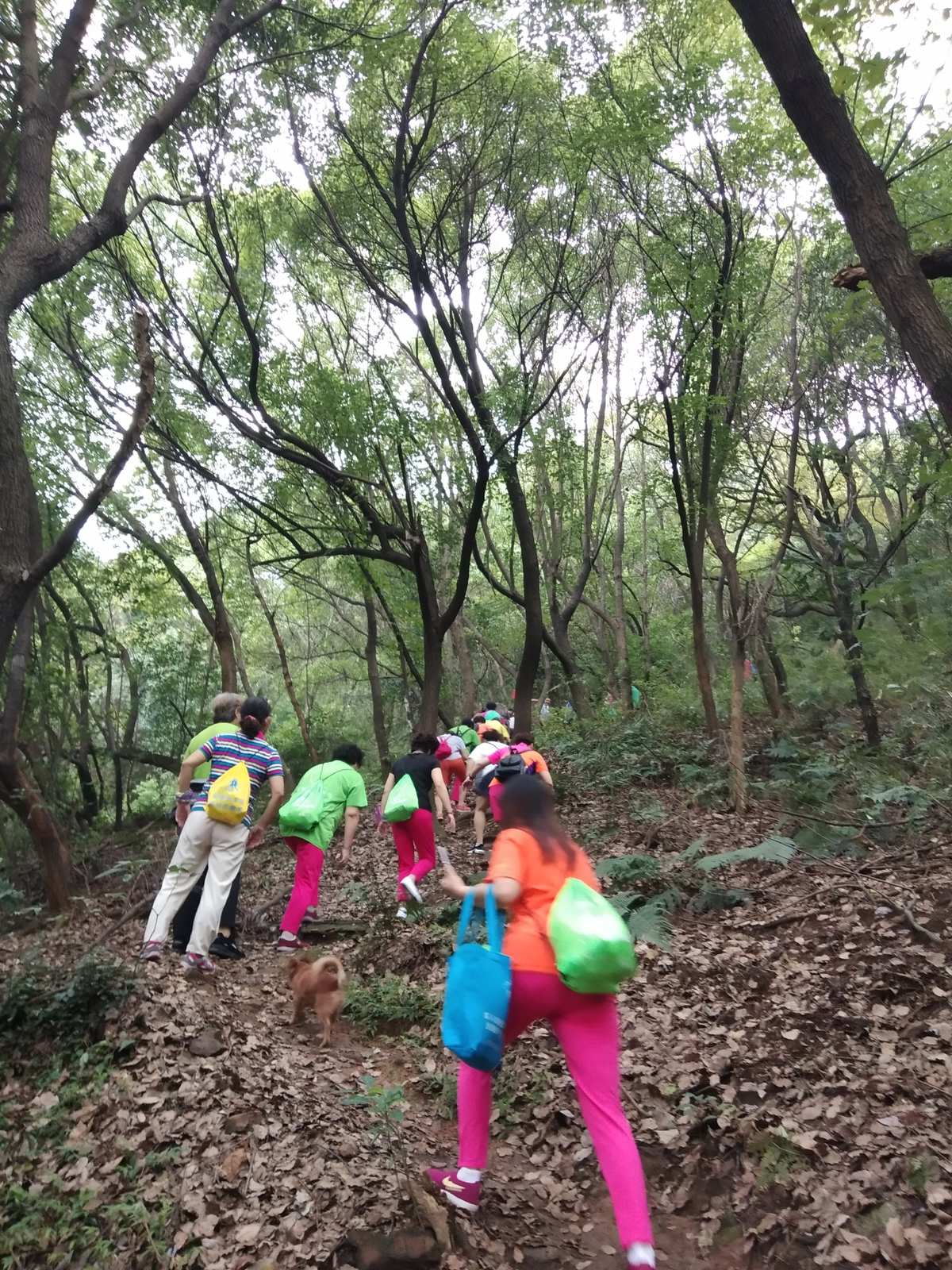 惠山国家森林公园吹响“2023美好生活节”启动号角