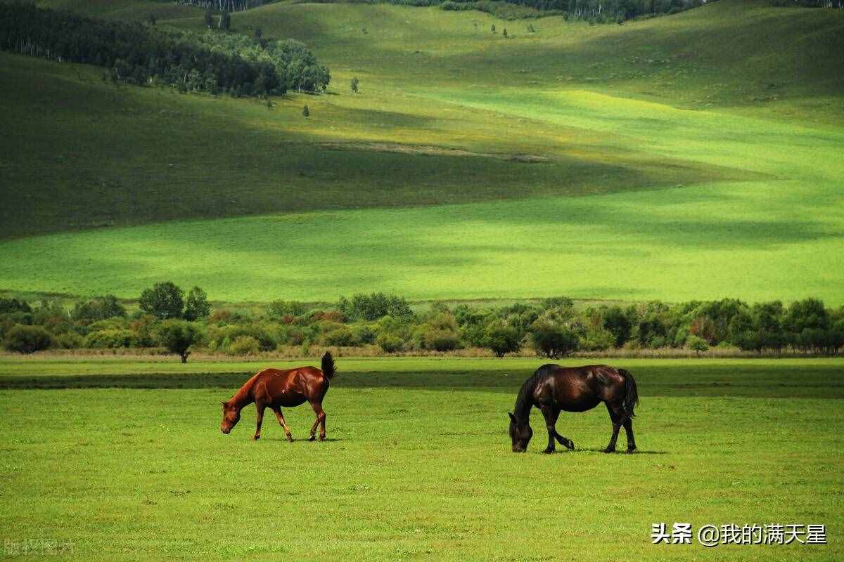 中国北方最大的候鸟迁徙通道——贡格尔草原