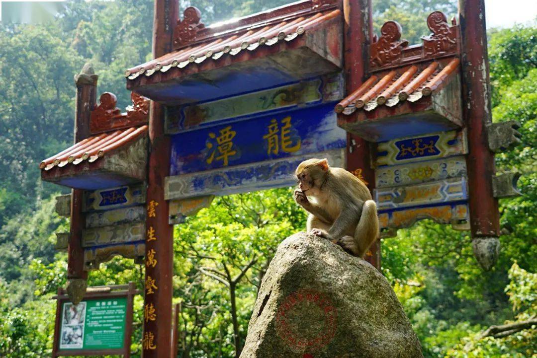 中国最美的10个公园，你去过几个？