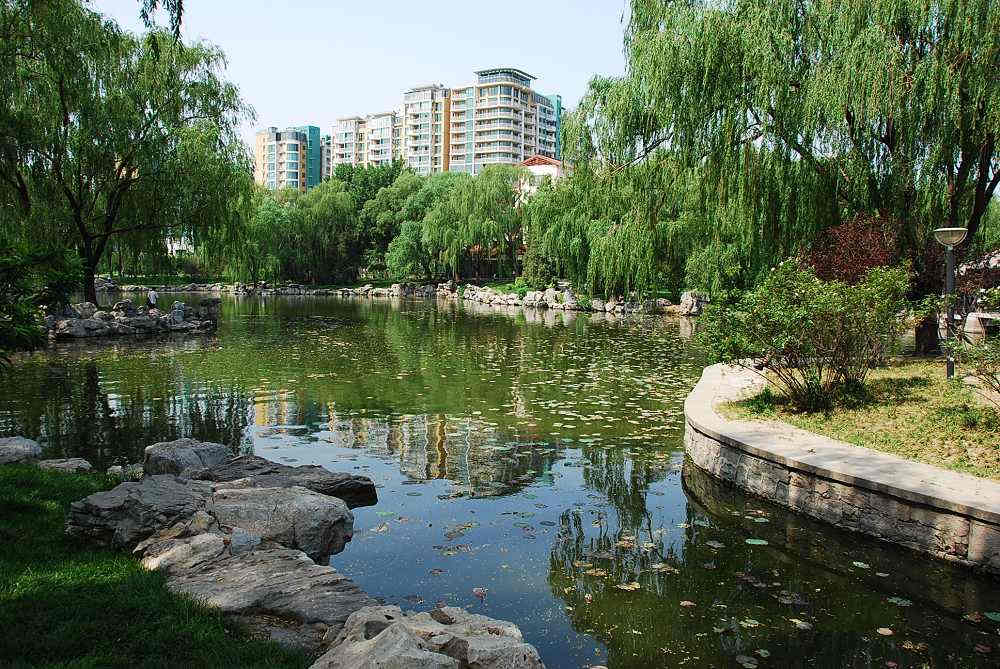 龙潭中湖公园首次压力测试200多人提前进园感受公园魅力
