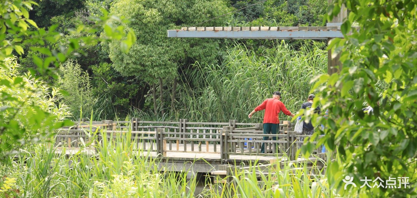 上海最适合周末游玩的湿地公园，你去过几个？