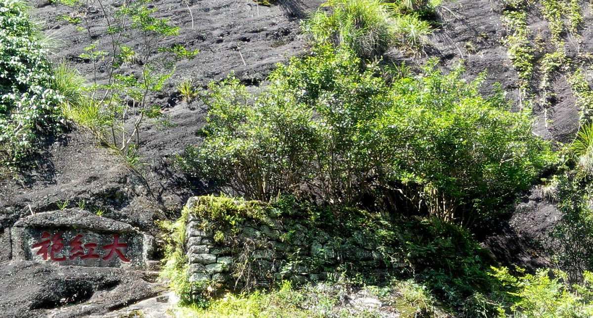 武夷山国家公园的地质地貌类型及气候情况情况分析