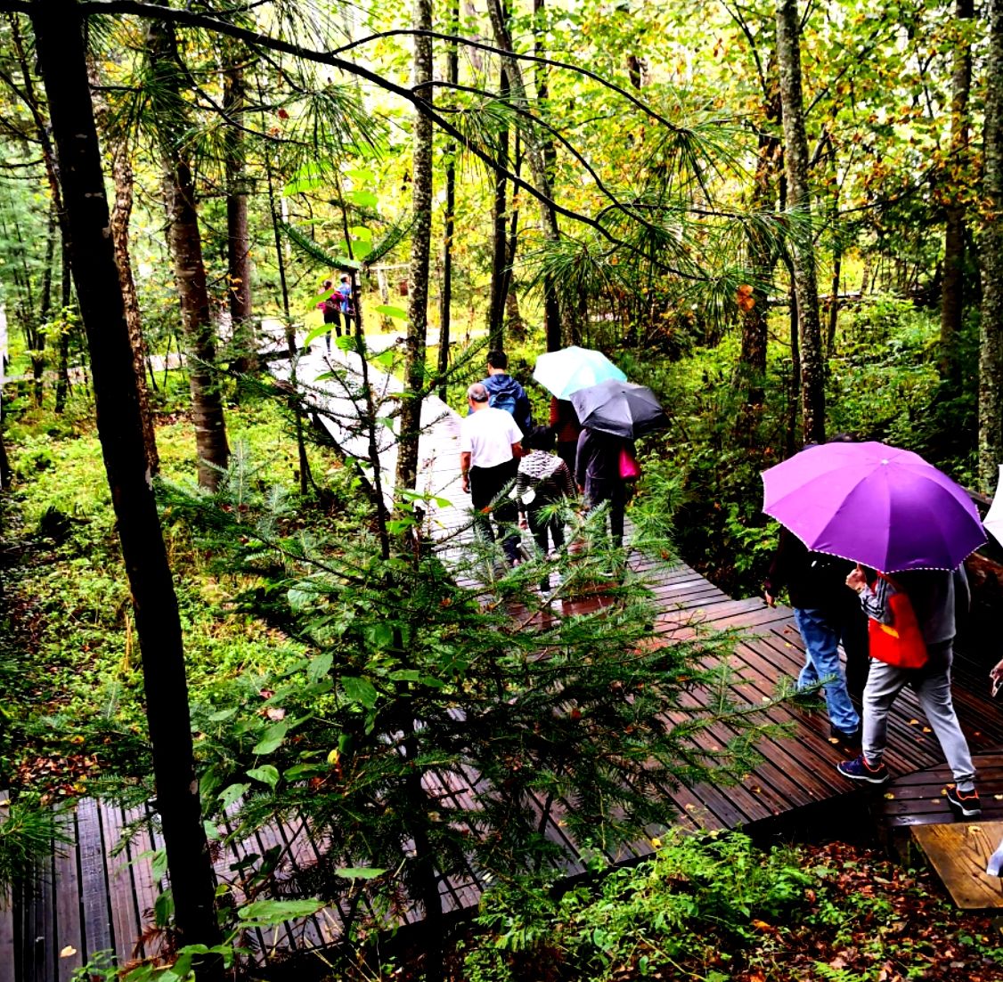 吉林红石国家森林公园“十一”黄金周火热森林生态游