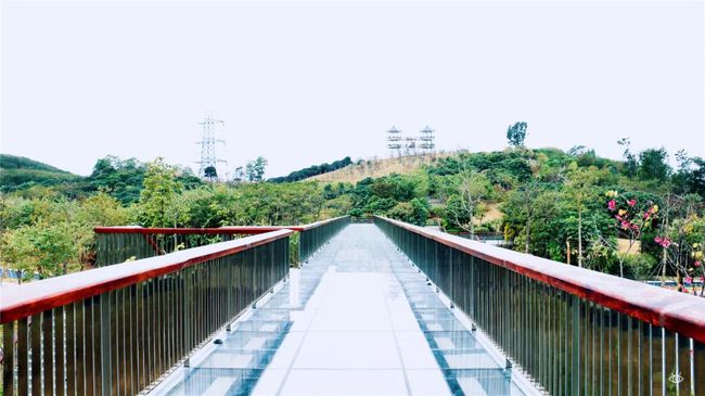 2023深圳免费玻璃桥，停车位100多个图源酷吧