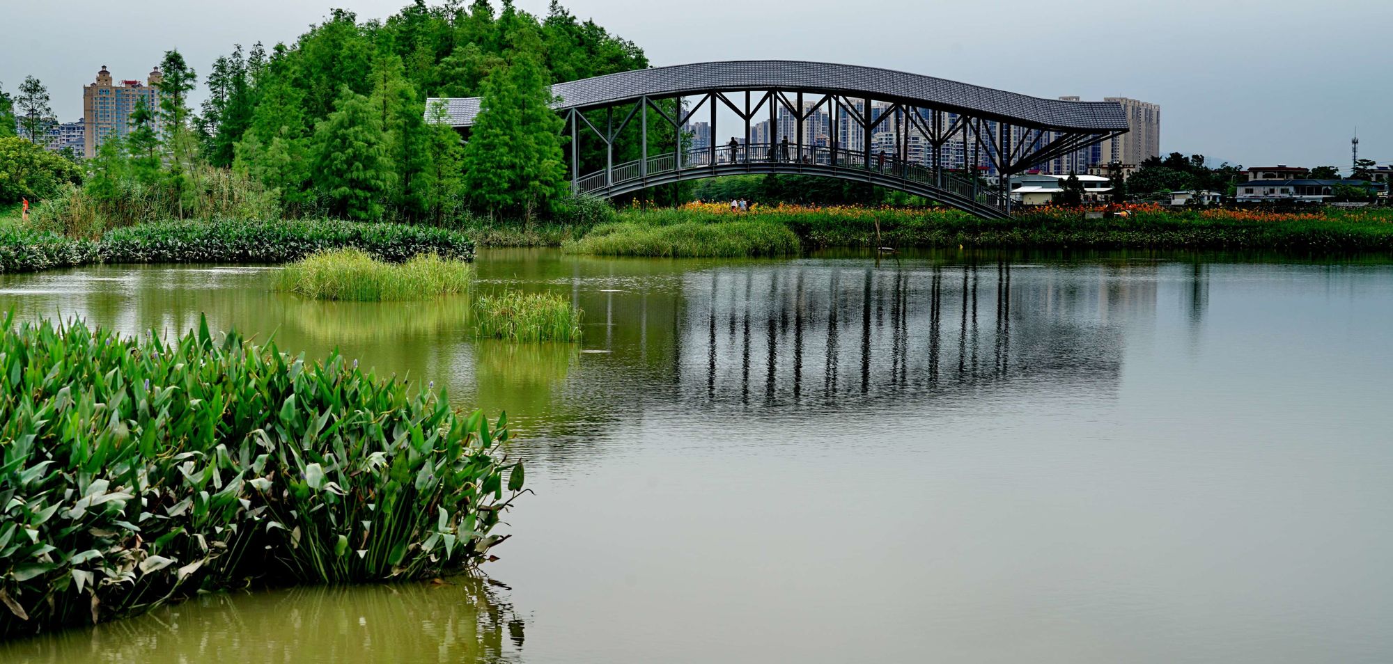 徐汇区有一座拥有湿地的公园，你去过几个？