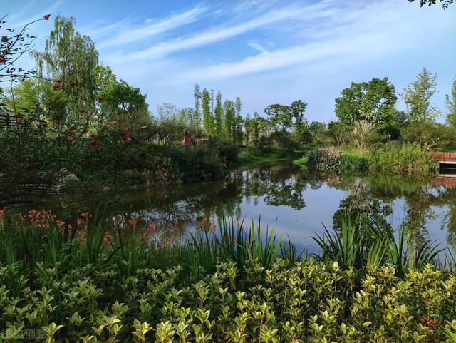 徐汇区有一座拥有湿地的公园，你去过几个？