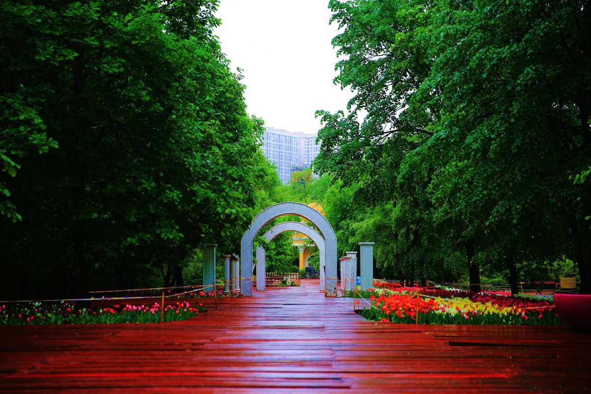 哈尔滨国家森林公园内建有黄与到波阻独源