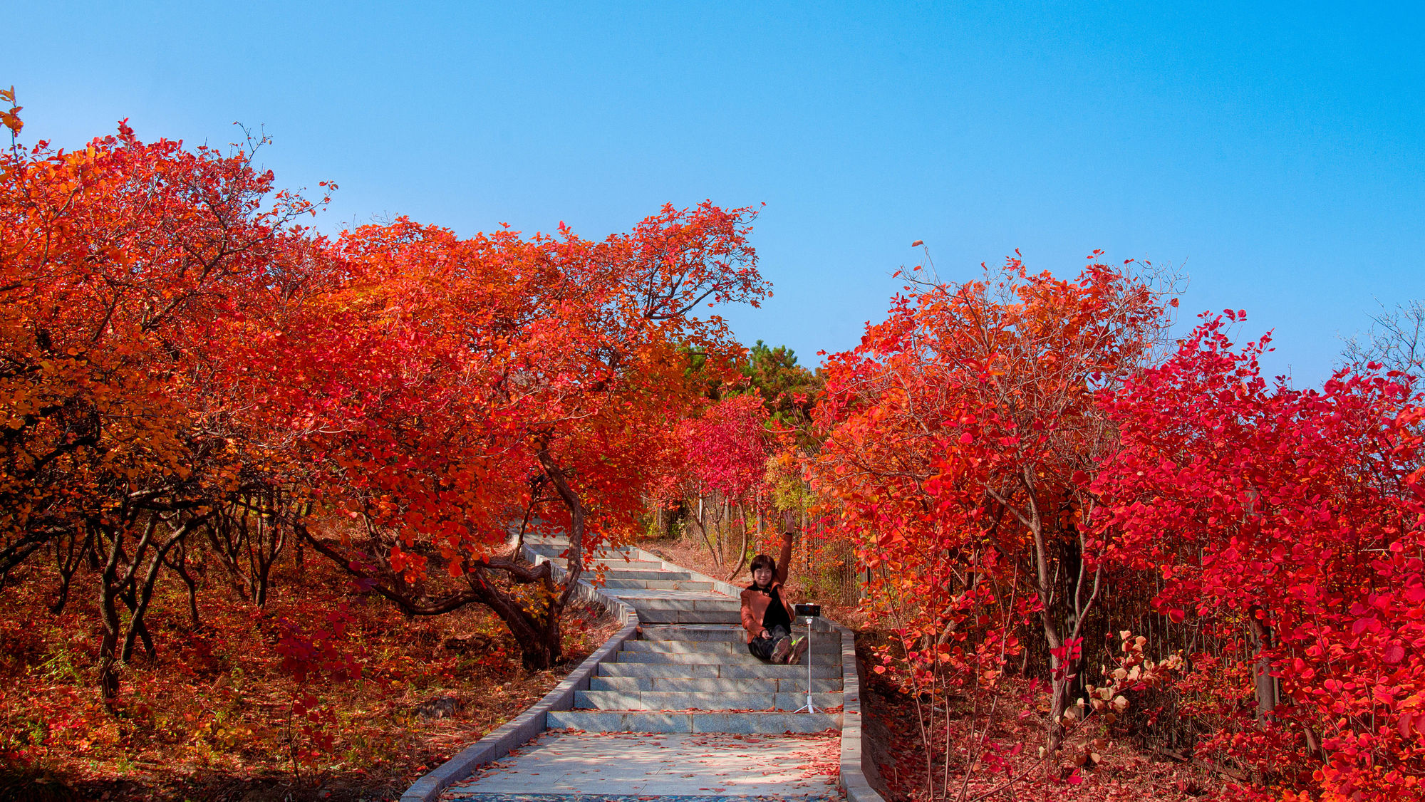 （蒙古记忆）北京国家级森林公园——西郊小西山
