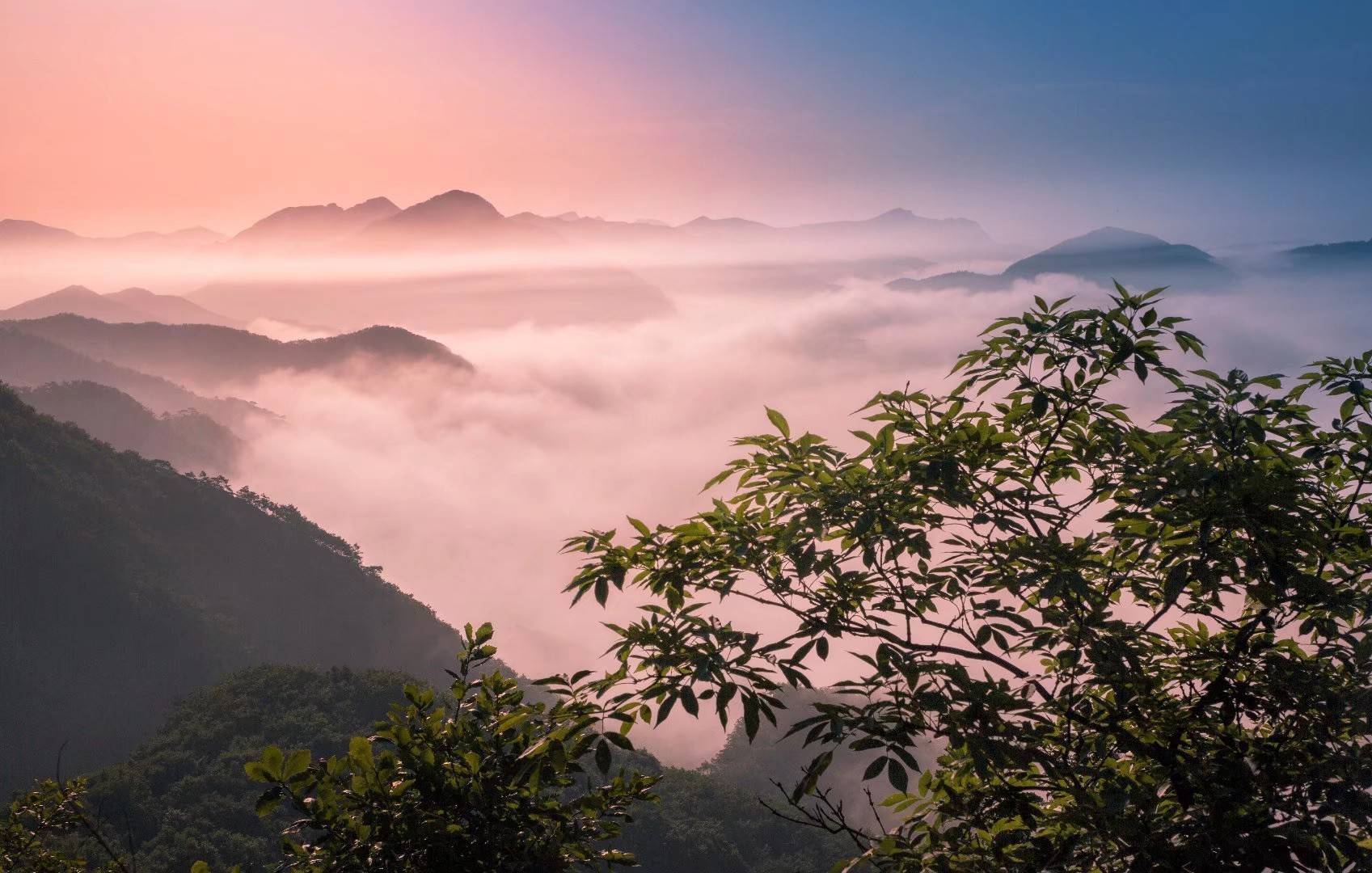 黑龙江茅兰沟国家森林公园的特点和特色