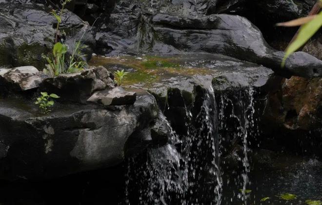 太行奇泉——河北武安国家级森林公园
