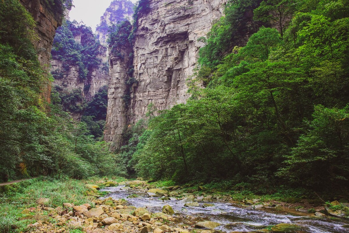 张家界武陵源：金鞭溪，一条很长的溪流
