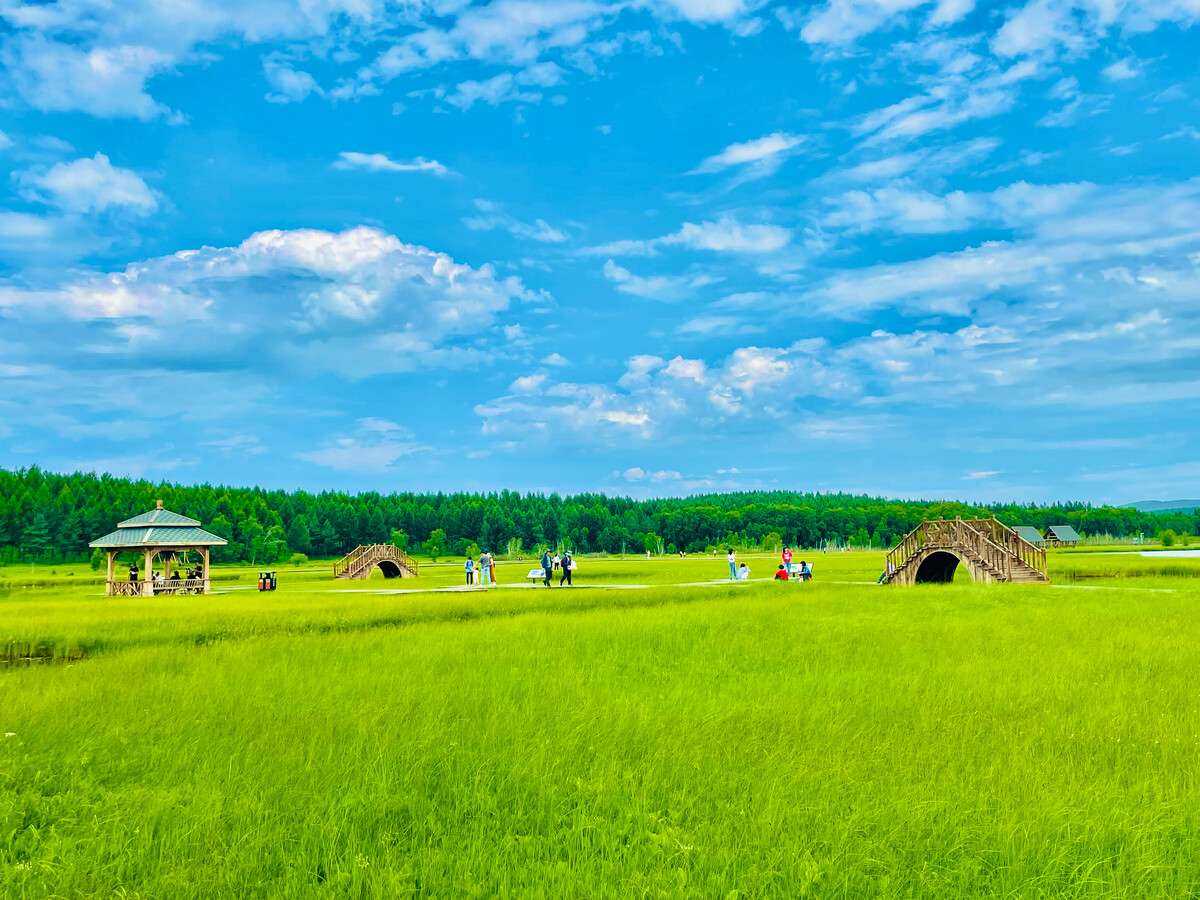 塞罕坝国家森林公园十里画廊：木兰围场（门票）