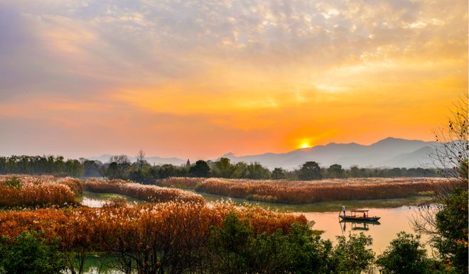 探索中国最美森林公园之一：西湖风景区森林公园