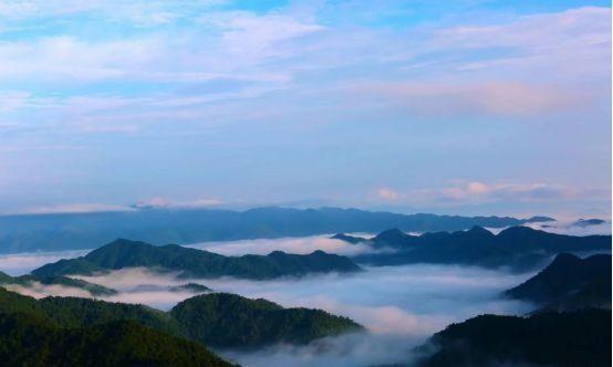 广东茂名森林公园：国家 AAAA 级旅游景区，生态旅游好去处