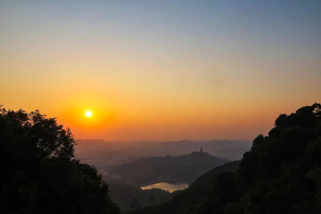 天池山国家森林公园：山水秀丽，生态旅游的绝佳选择