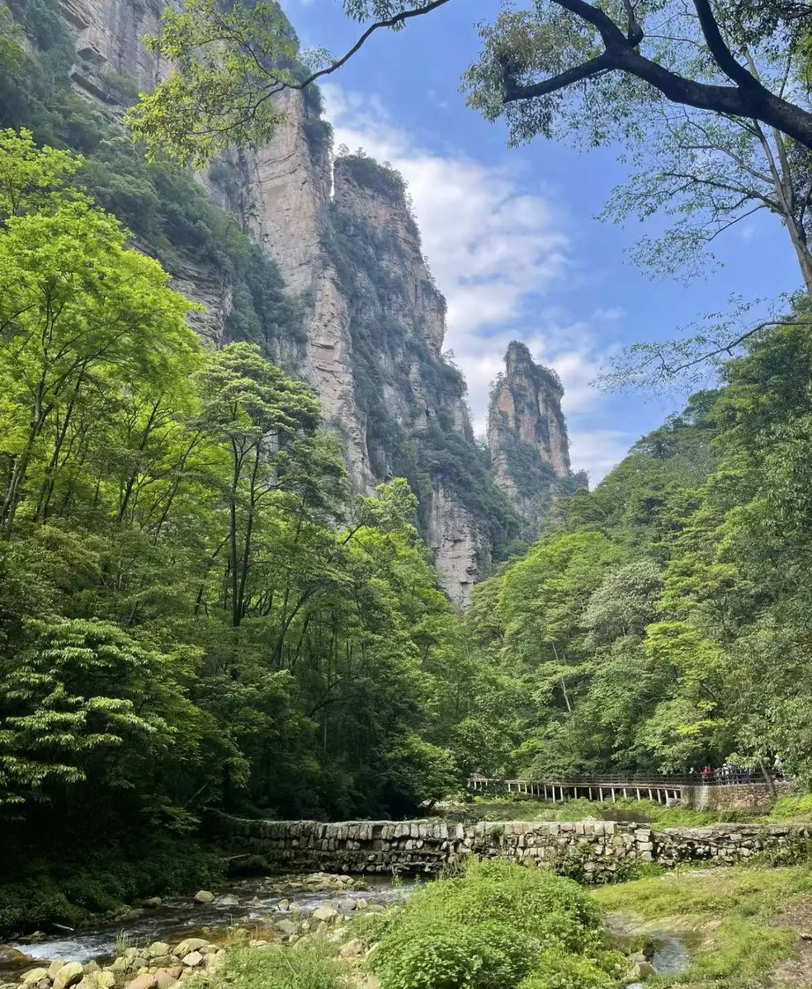 张家界旅游攻略：国家森林公园与天门山的奇幻之旅