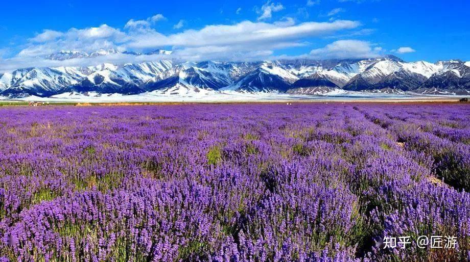 探索湖南西部的武陵源风景名胜区，领略大自然的迷宫与奇山之美