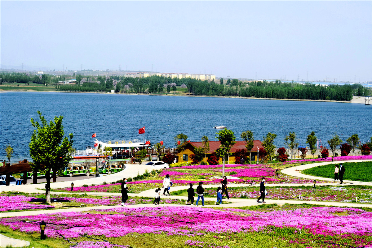 合肥滨湖湿地公园：踏青郊游好去处，趣味游玩项目等你来