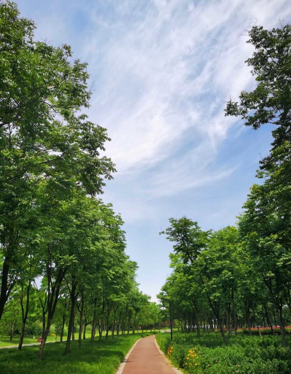 江苏宿迁：乾隆赞誉的第一江山春好处，三台山国家森林公园等你来打卡