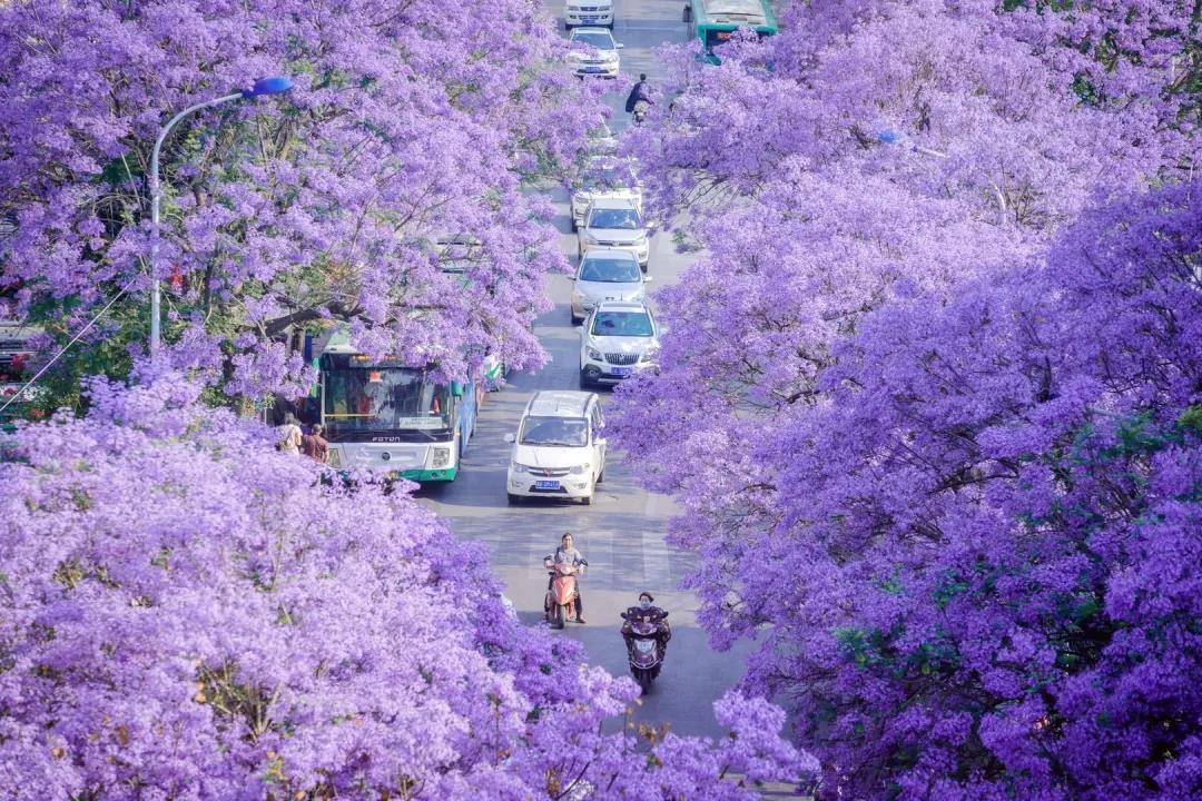 临夏到云南旅游路线攻略：领略两地风土人情，留下美好回忆