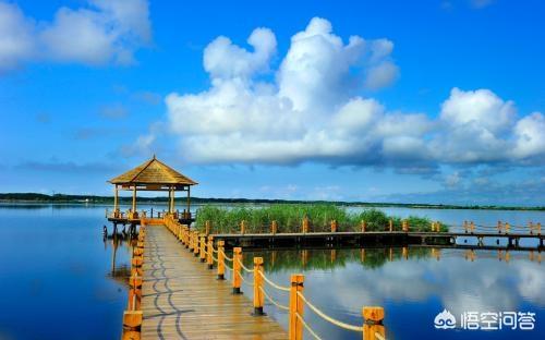 黑龙江湿地游迎高峰，16 个最美避暑胜地等你来