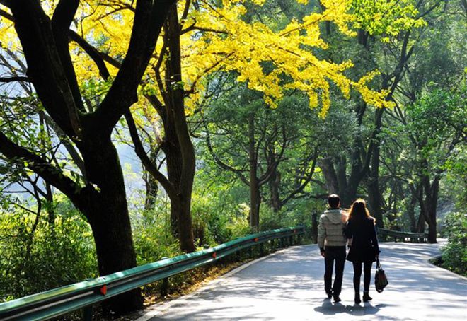 秋季登高赏秋好去处，湖南岳麓山、浏阳大围山等你来