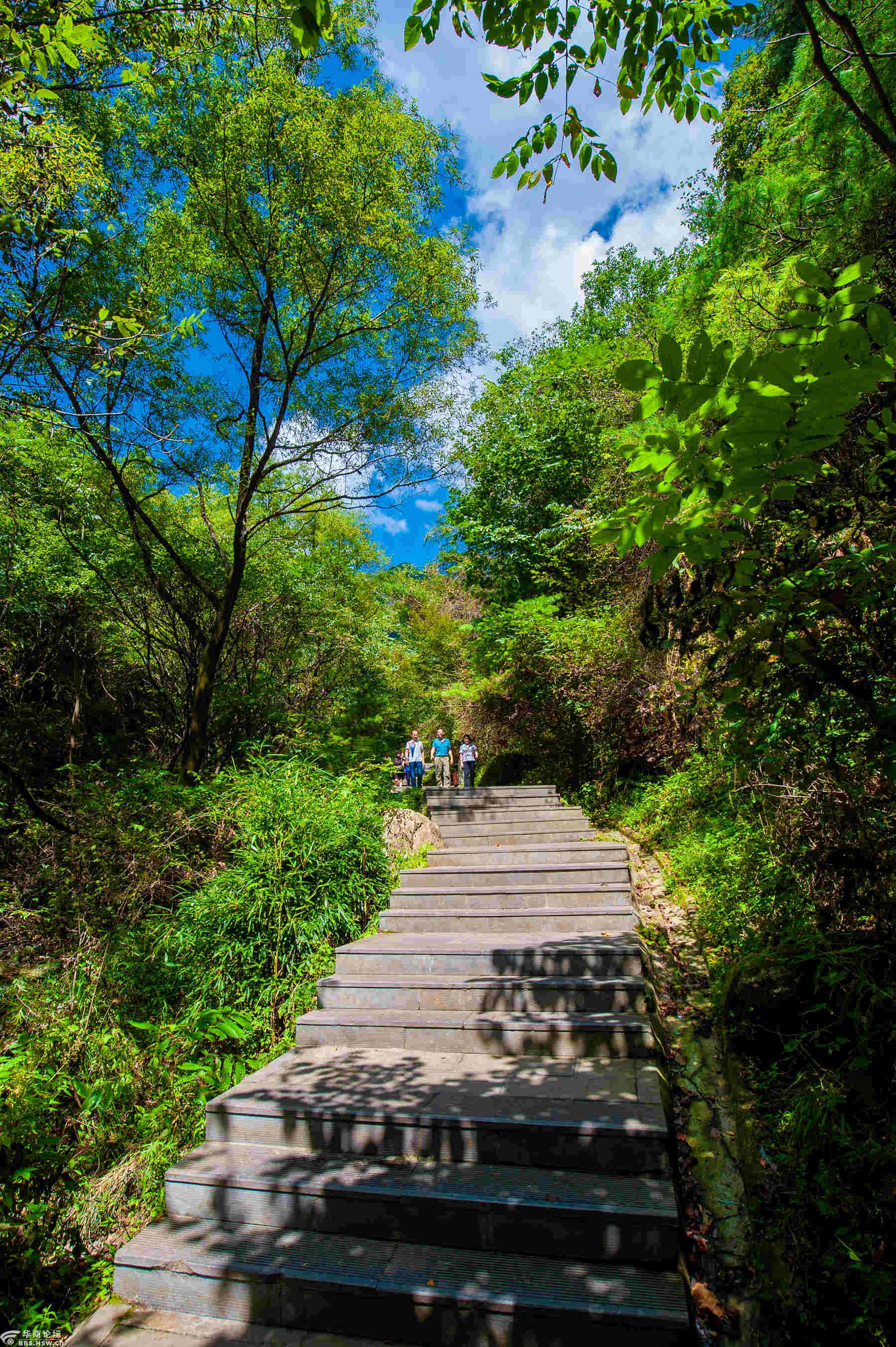 西安王顺山国家森林公园：兼具华山之险黄山之秀，陕西小黄山等你来