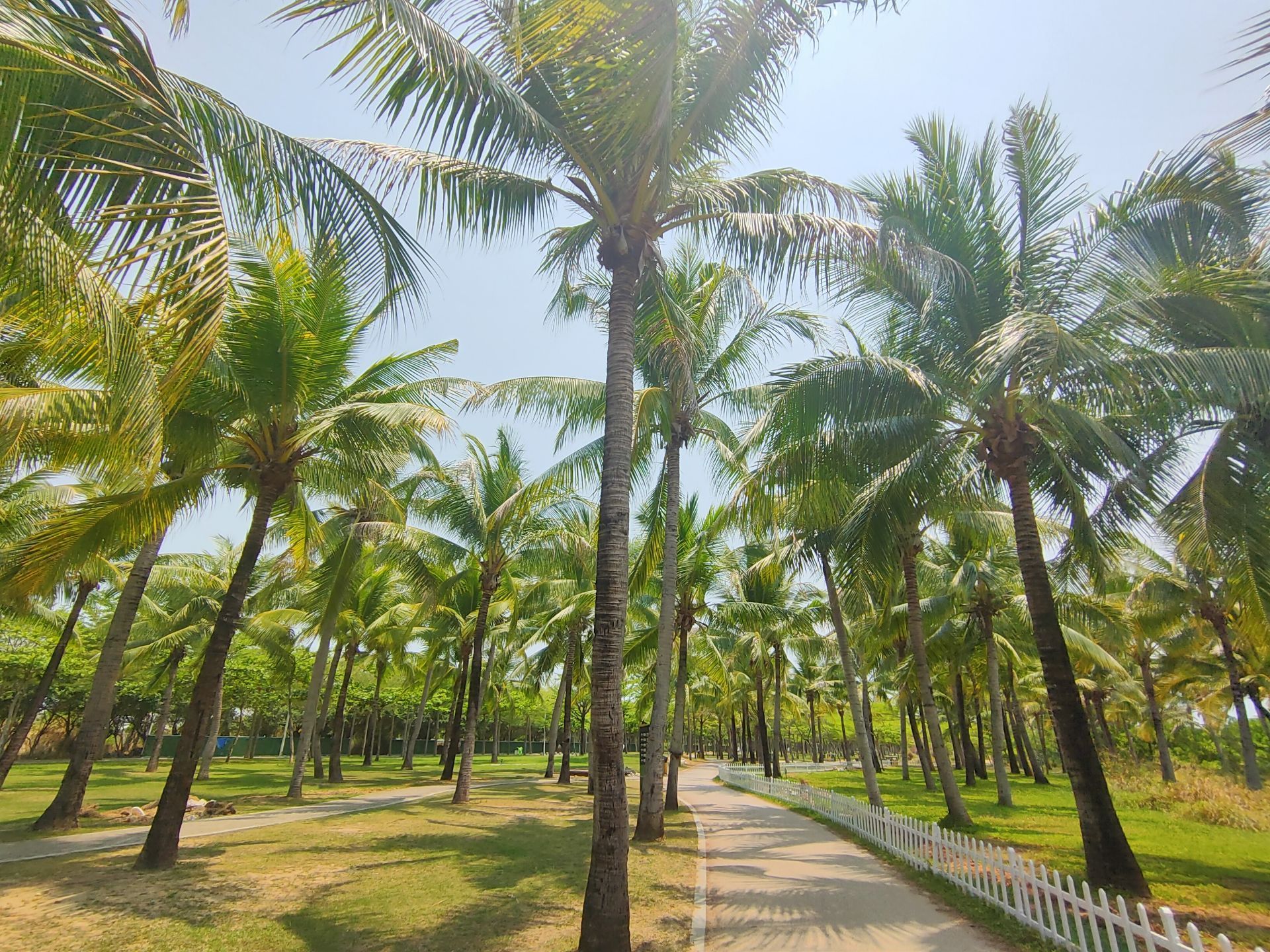 三亚标志性景点盘点：南海观音、椰梦长廊、天涯海角等，你打卡过几个？