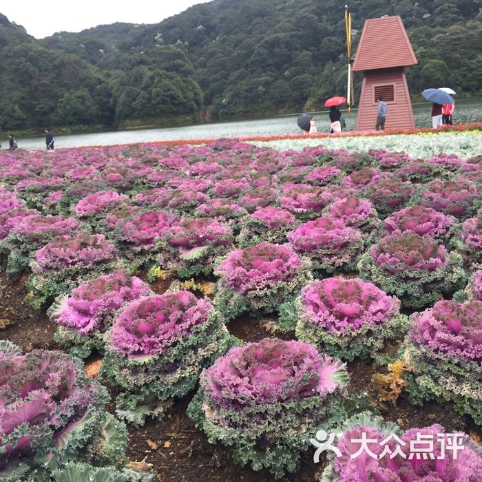广州石门国家森林公园：开放时间、官网及五大景区介绍