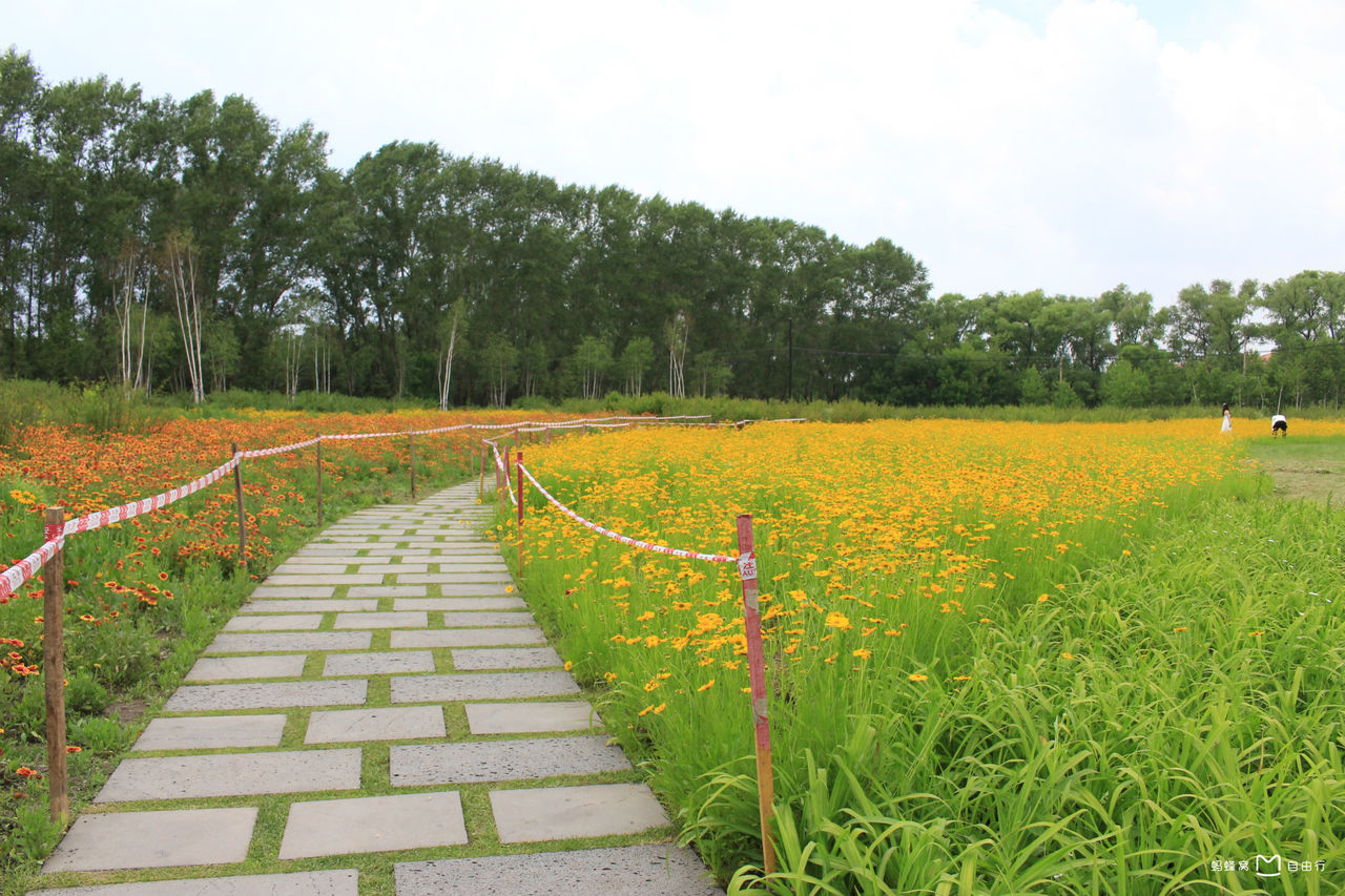 长春踏青去哪里？净月潭国家森林公园和南湖公园等你来