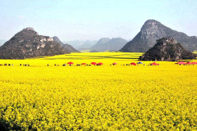 上饶云碧峰森林公园：登山观景、健步养生的好去处