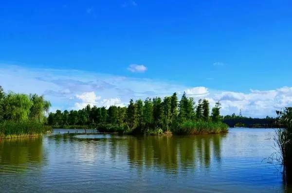 浙江慈溪这个 3000 多亩的森林公园，景色迷人还免费，你去过吗？