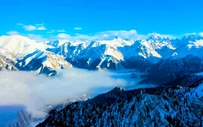 陇南冬景美如画：邂逅浪漫雪落云屏，领略鸡峰山冷峻壮丽