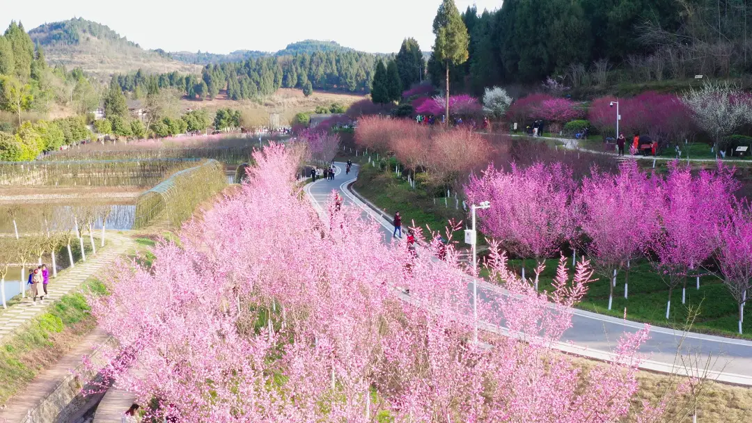 云蒙风景区：避暑胜地，自然与人文景观交相辉映