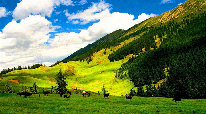 贺兰山风景区：峰峦叠嶂，避暑胜地，游玩攻略全知道