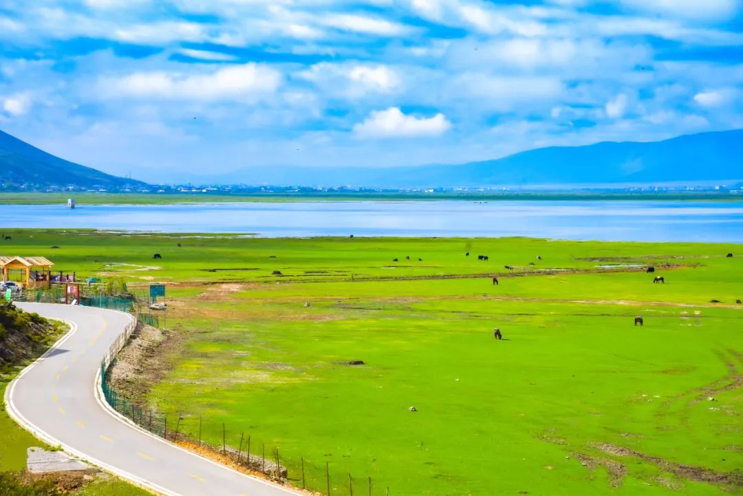 香格里拉旅游攻略：九大必去景点，感受人间天堂的魅力