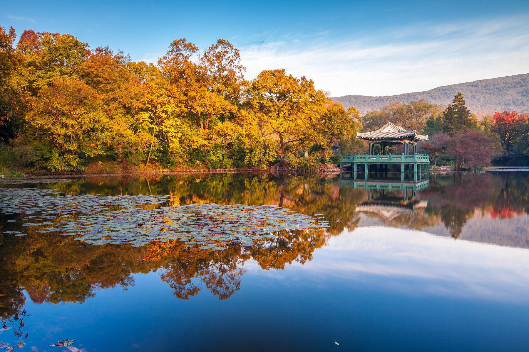 南京旅游攻略：探索历史文化名城的必游景点