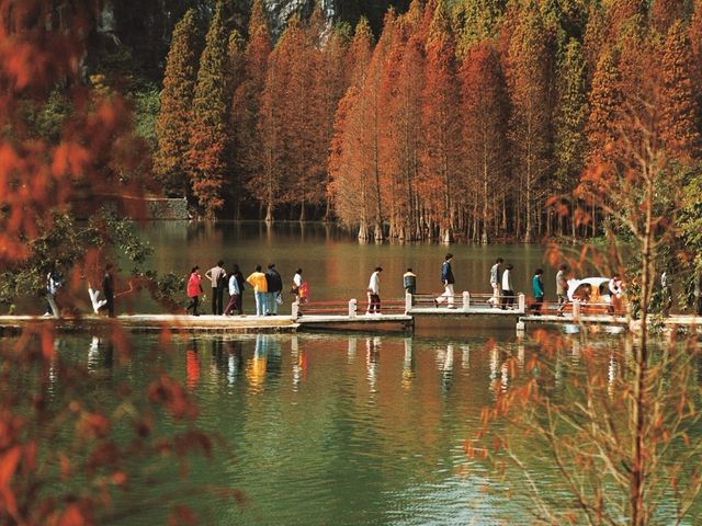 肇庆旅游攻略：鼎湖山与七星岩，领略自然风光与佛教文化